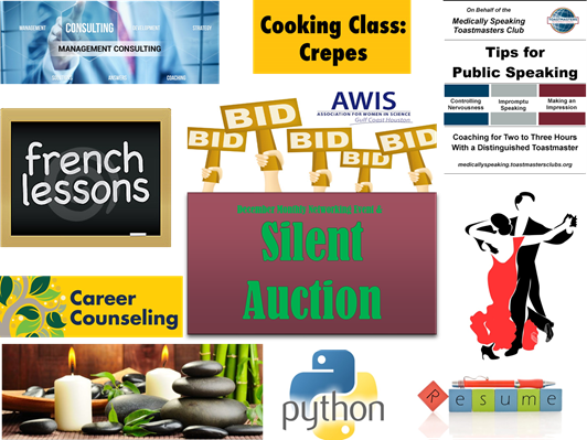 2016-dec-silent-auction