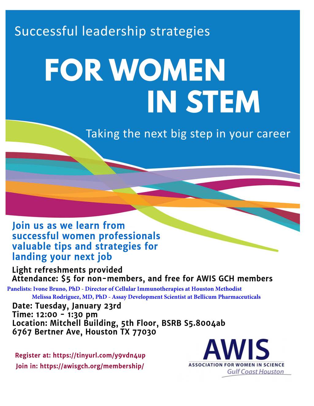 Successful Leadership Strategies for Women in&nbsp;STEM