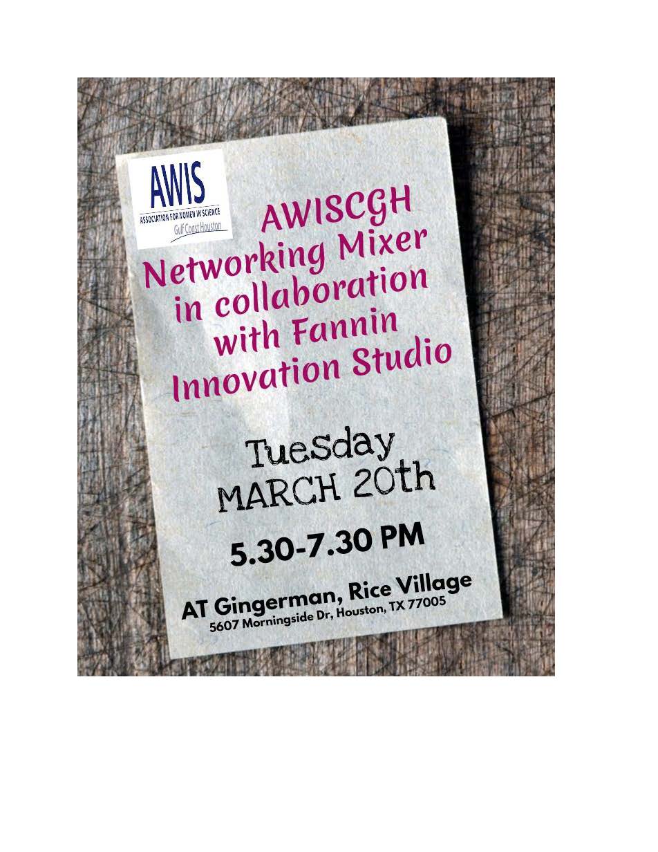 Networking mixer Flyer