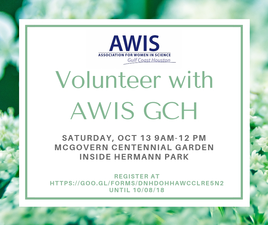 Hermann Park Oct 2018