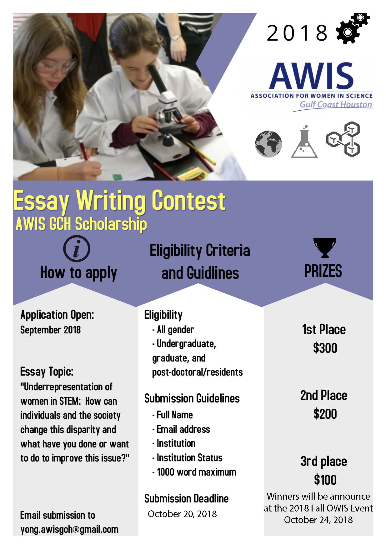 Scholarship Essay Flyer 2018