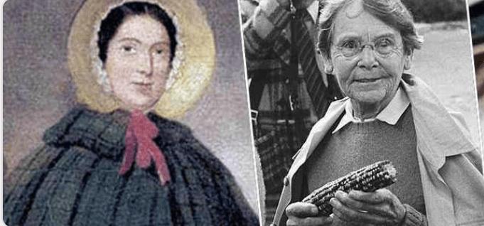 Screen Shot 2020-01-31 at 5.26.56 PM