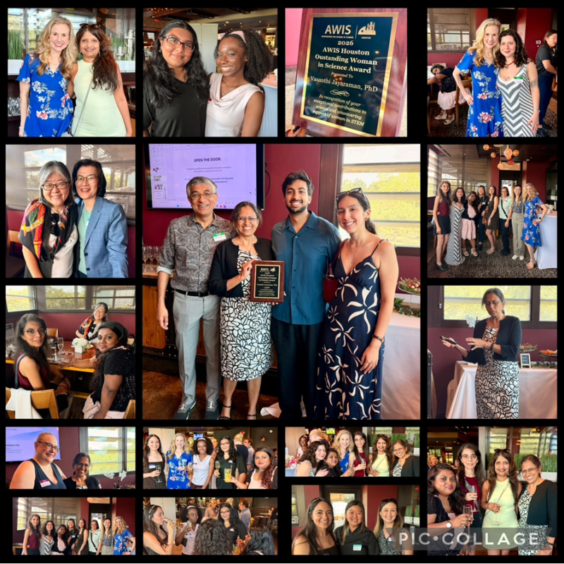 2026 OWIS Award&nbsp;Ceremony